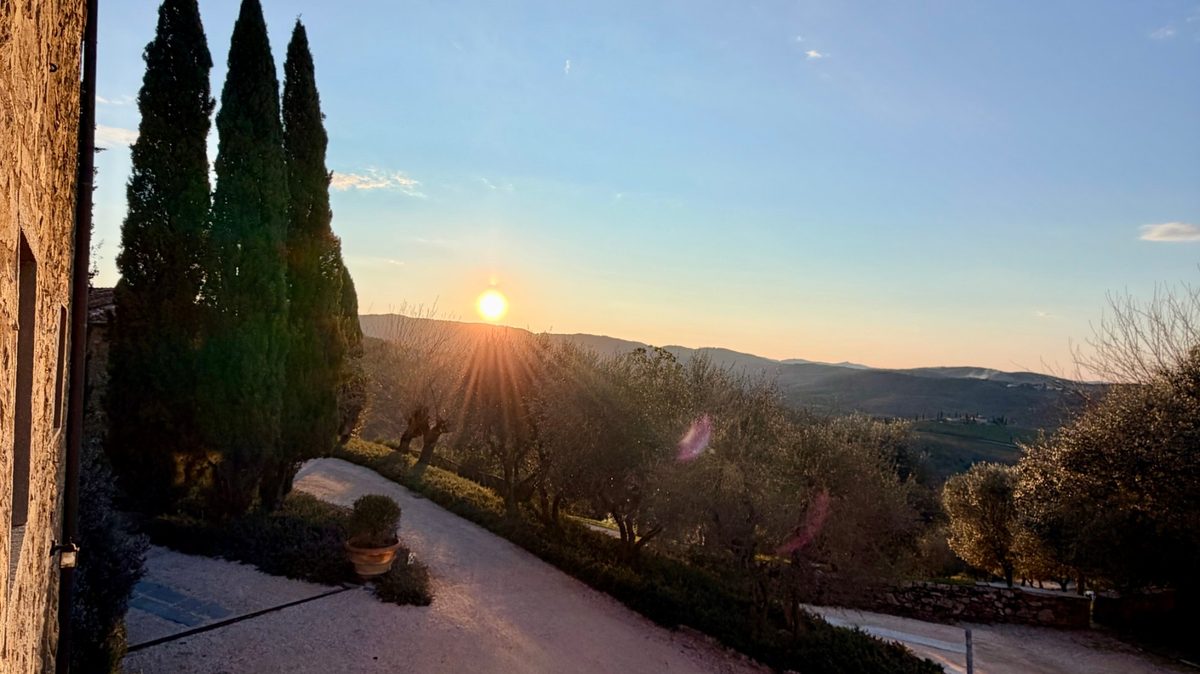 Sunset over olive groves and cypress trees at Pieve Aldina in Radda in Chianti, Tuscany
